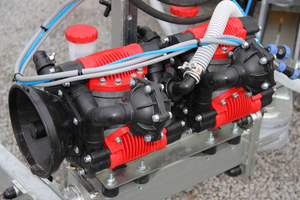 Brak tytułu - obrazek 2