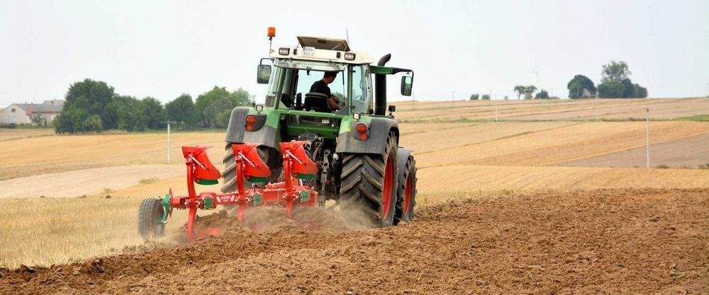 Brak tytułu - obrazek 2