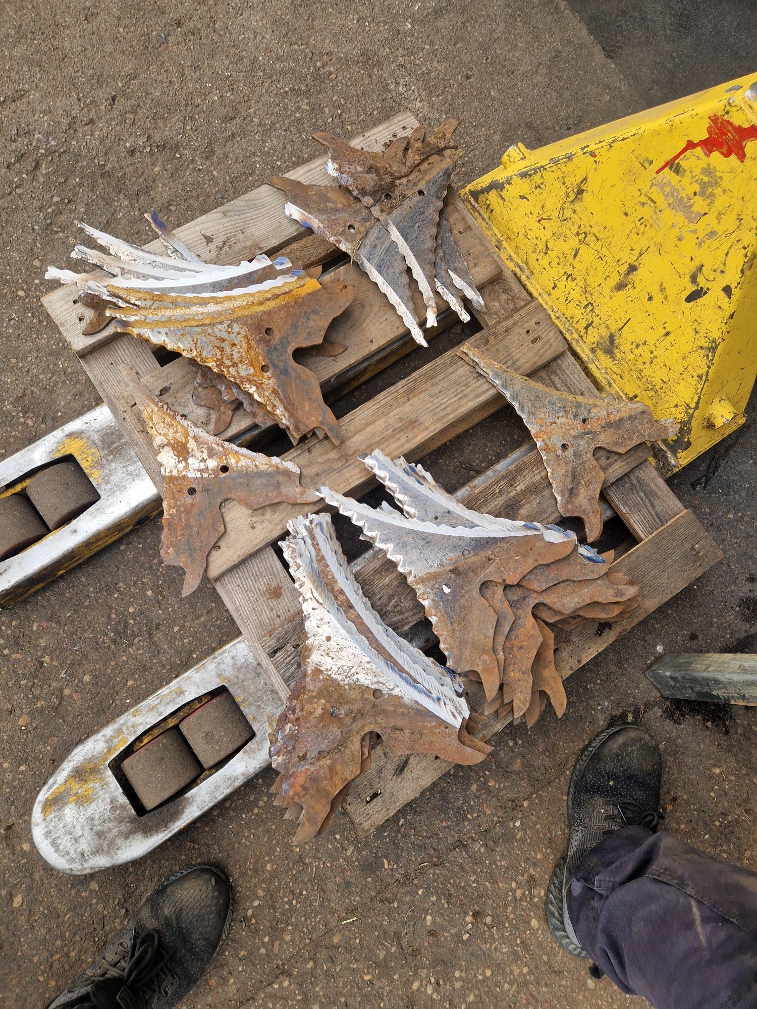 Brak tytułu - obrazek 2