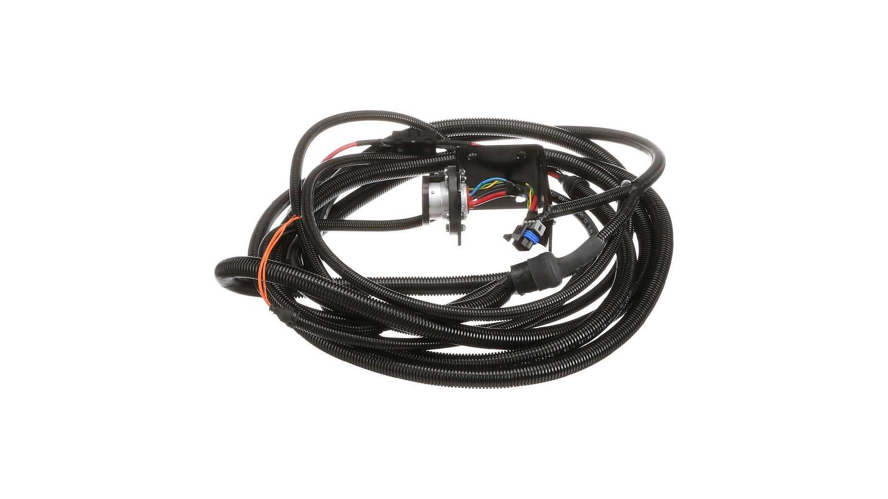 Brak tytułu - obrazek 4