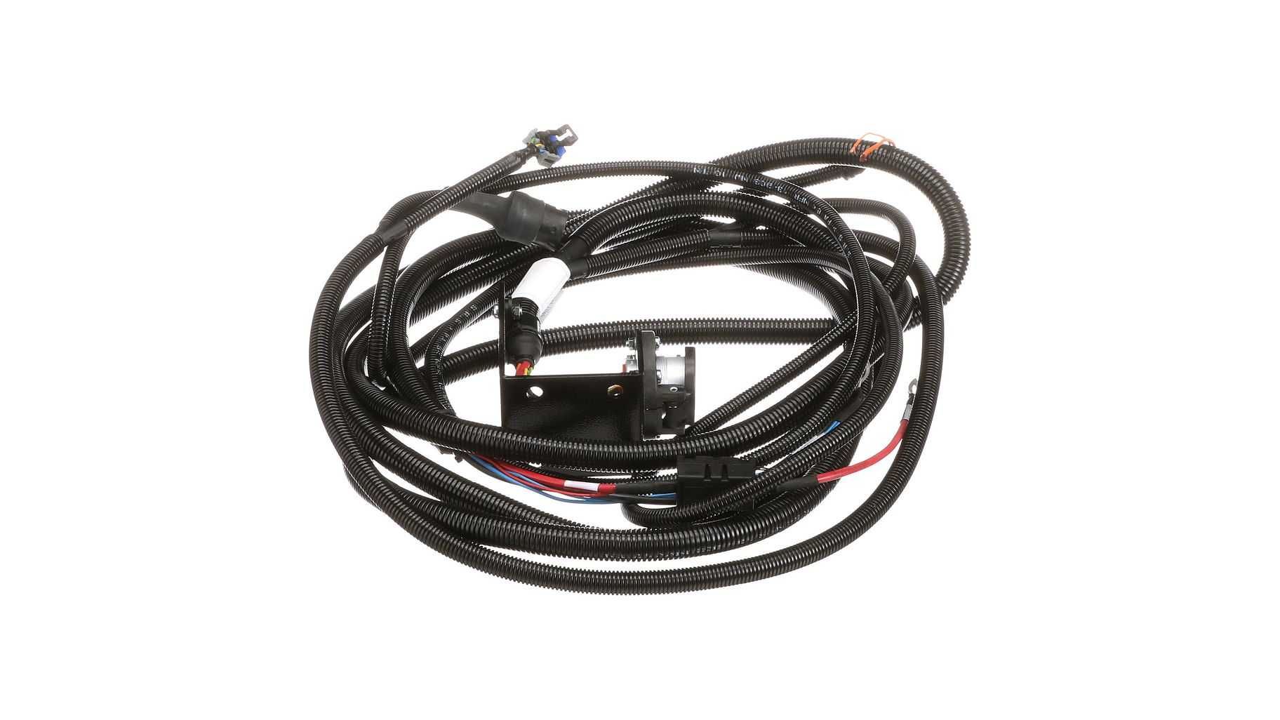 Brak tytułu - obrazek 5