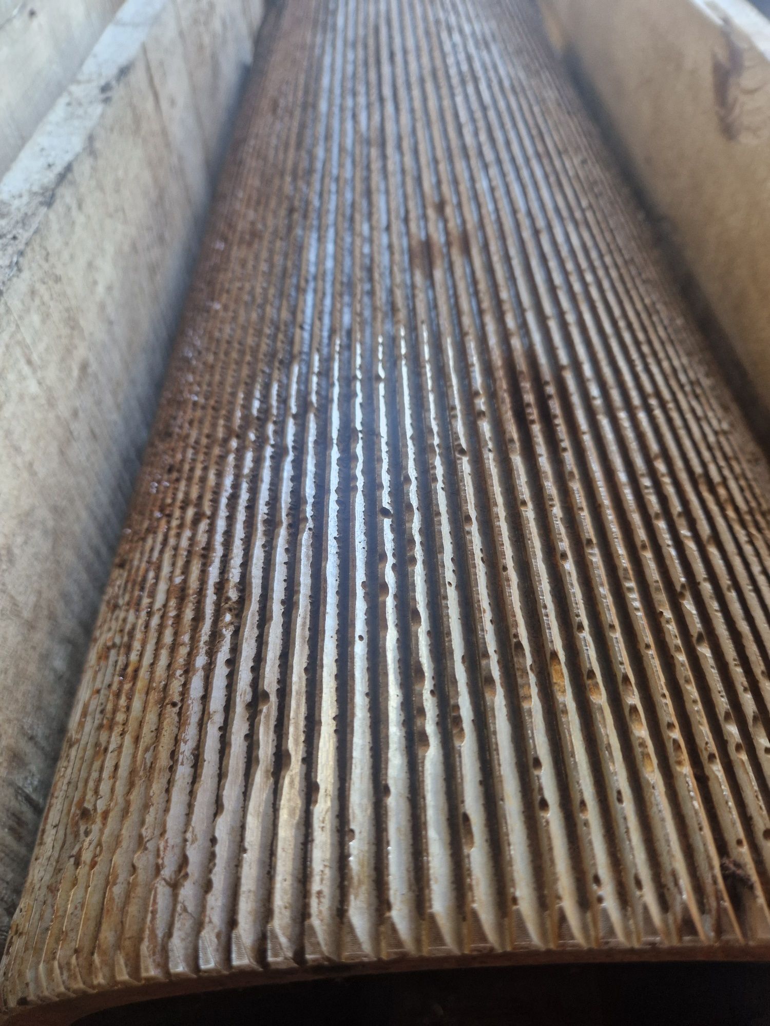 Brak tytułu - obrazek 3