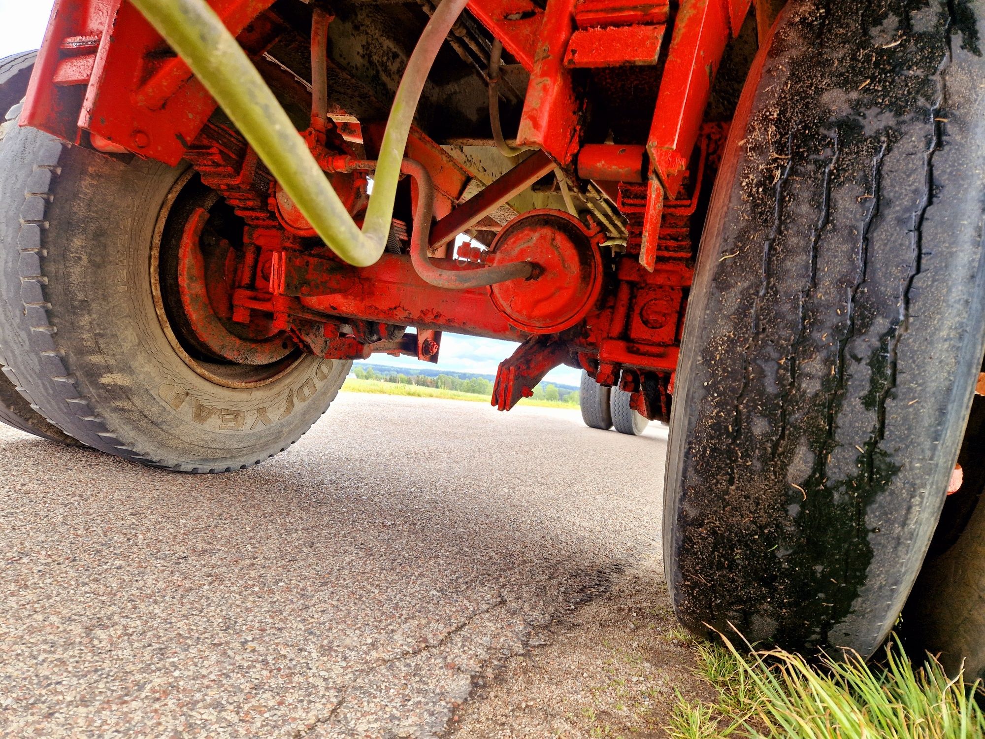 Brak tytułu - obrazek 5