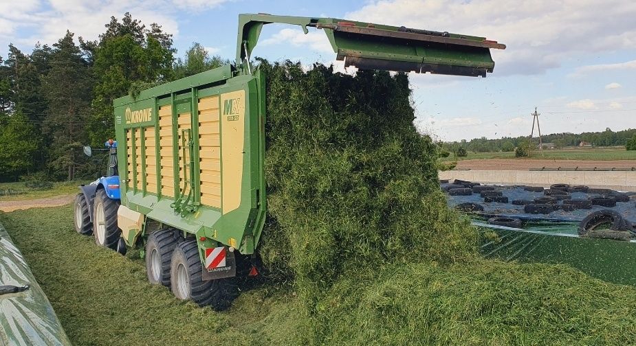 Brak tytułu - obrazek 2