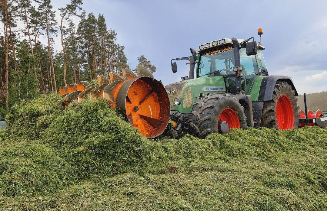 Brak tytułu - obrazek 3