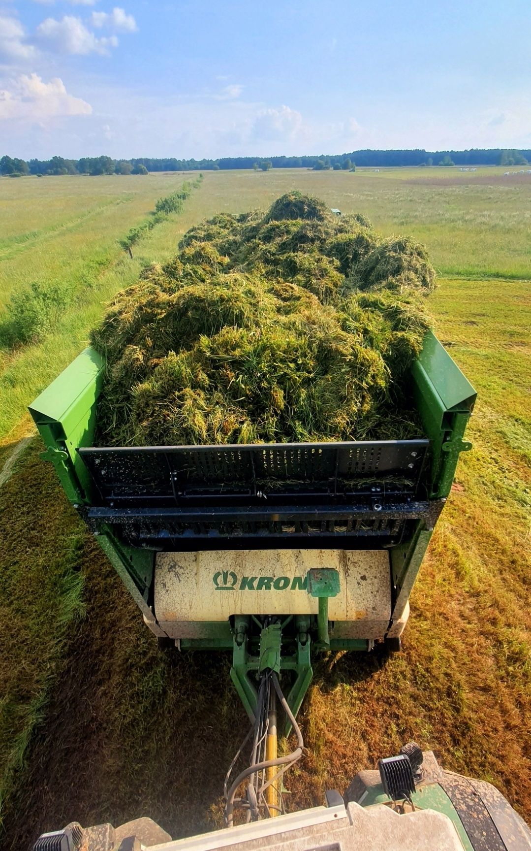 Brak tytułu - obrazek 4