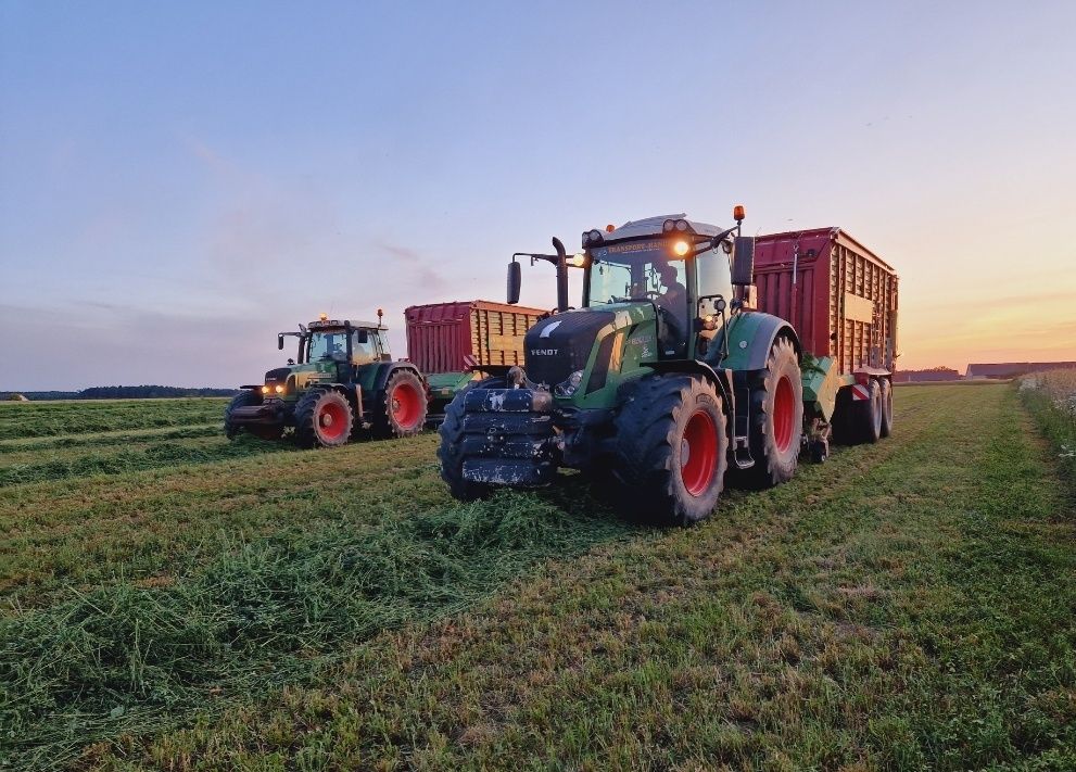 Brak tytułu - obrazek 5