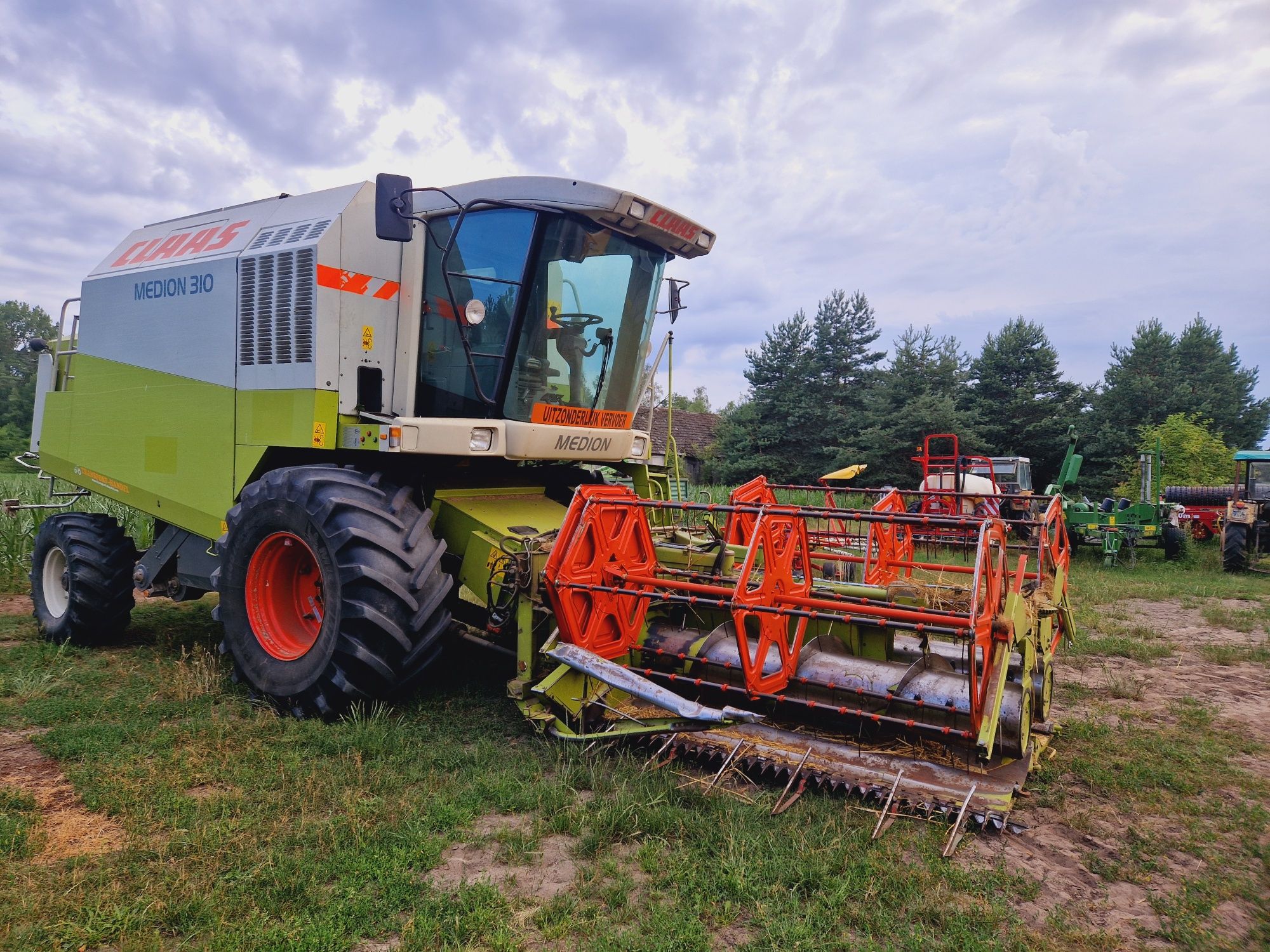 Brak tytułu - obrazek 2