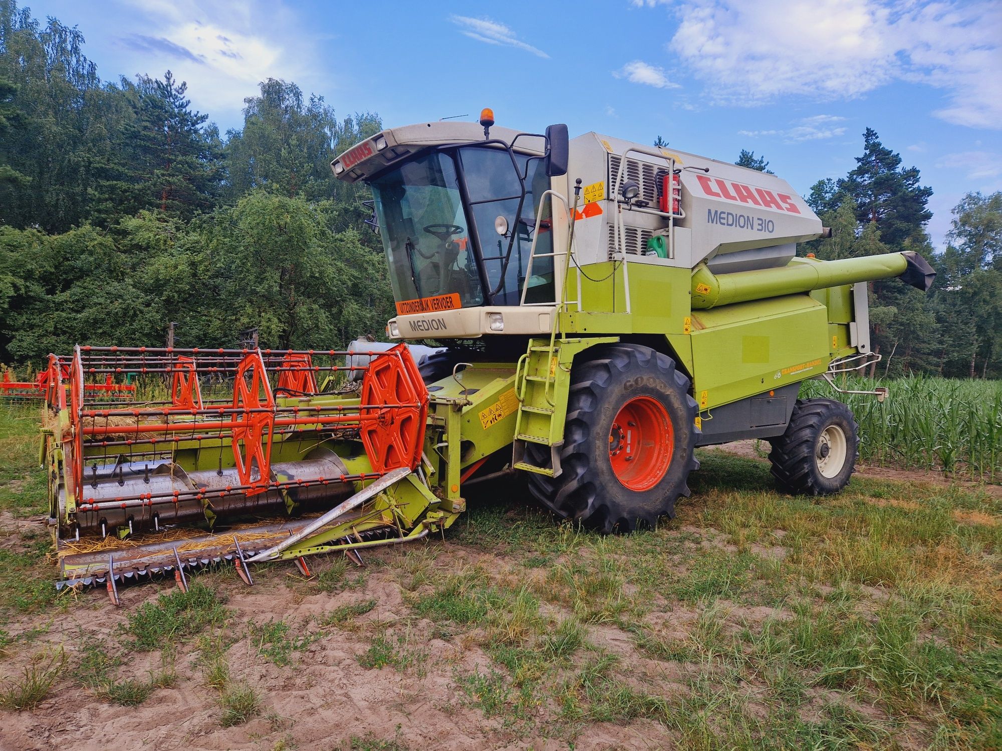 Brak tytułu - obrazek 3