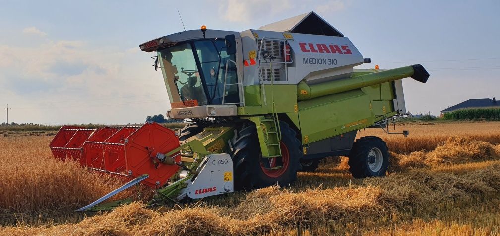 Brak tytułu - obrazek 5