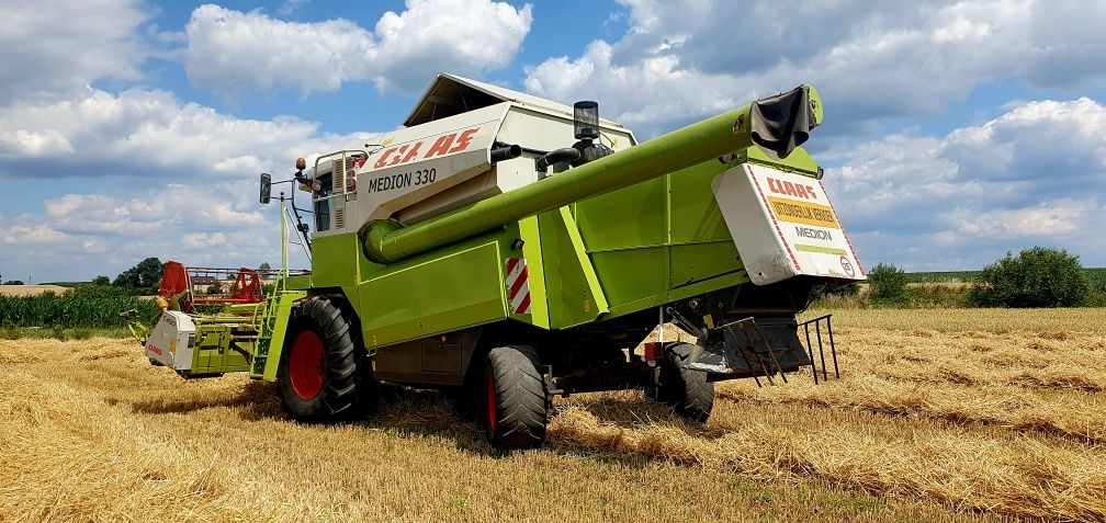 Brak tytułu - obrazek 3