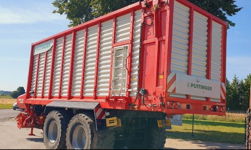 Brak tytułu - obrazek 3