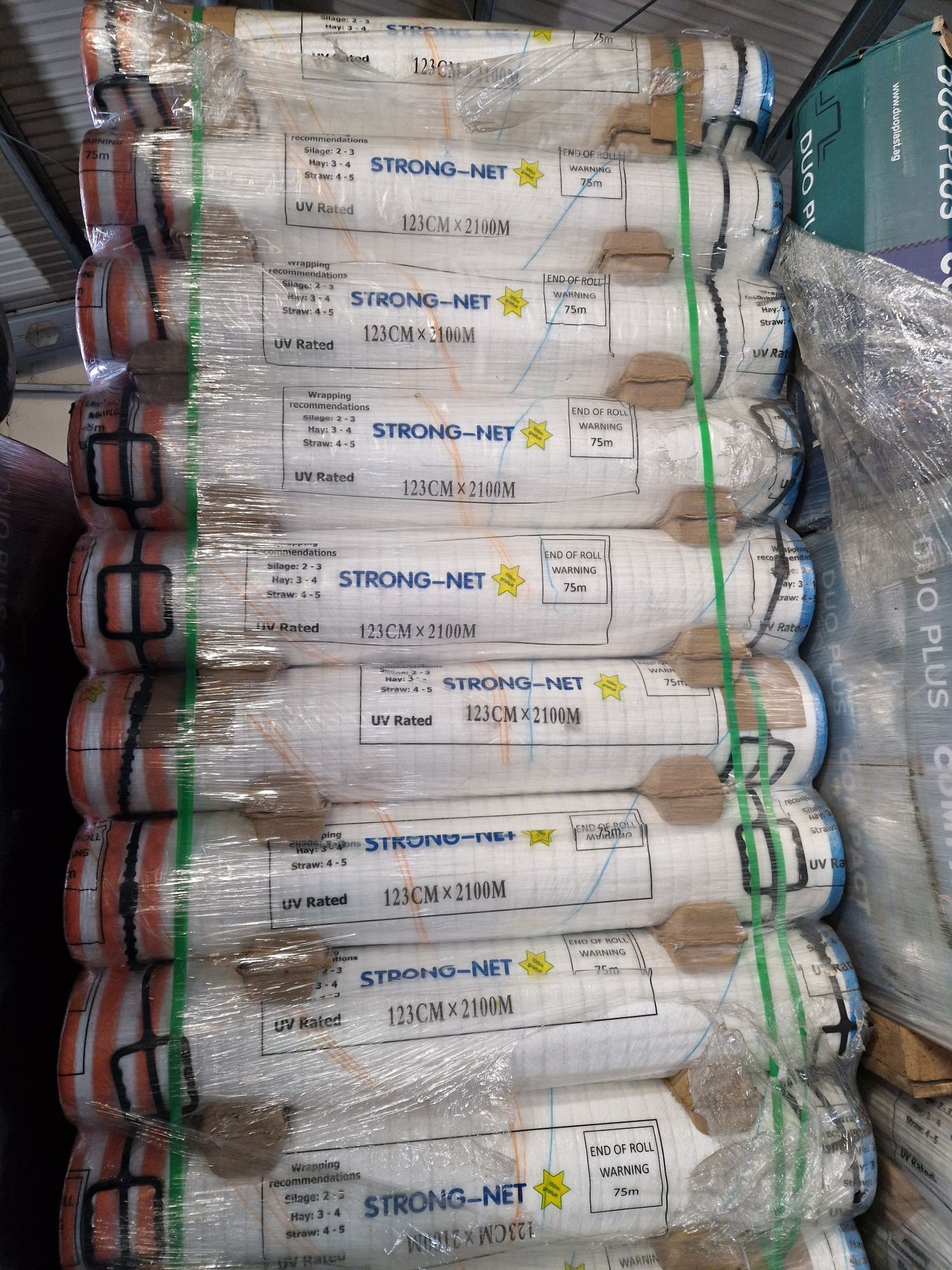 Brak tytułu - obrazek 3