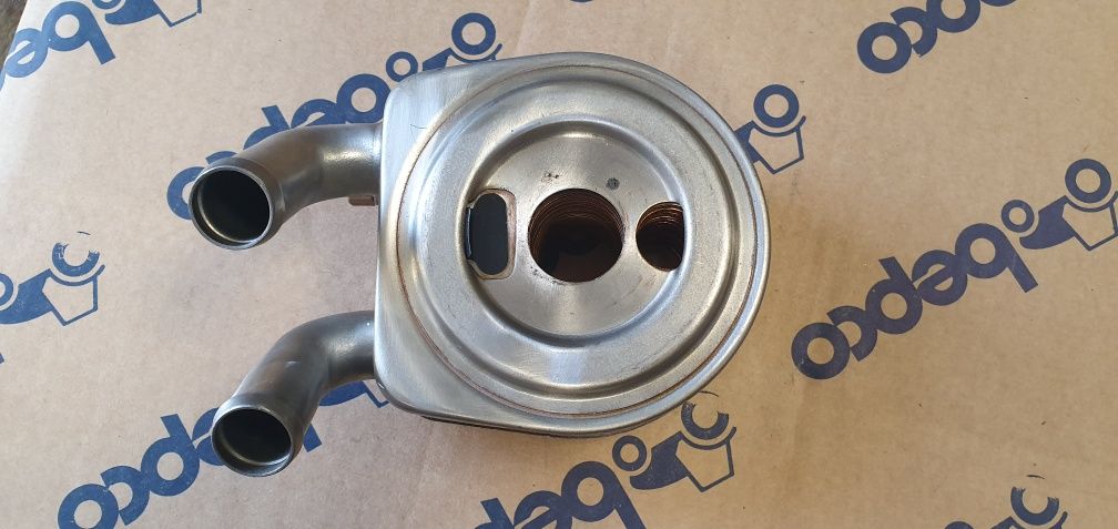 Brak tytułu - obrazek 5