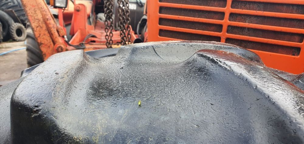 Brak tytułu - obrazek 5